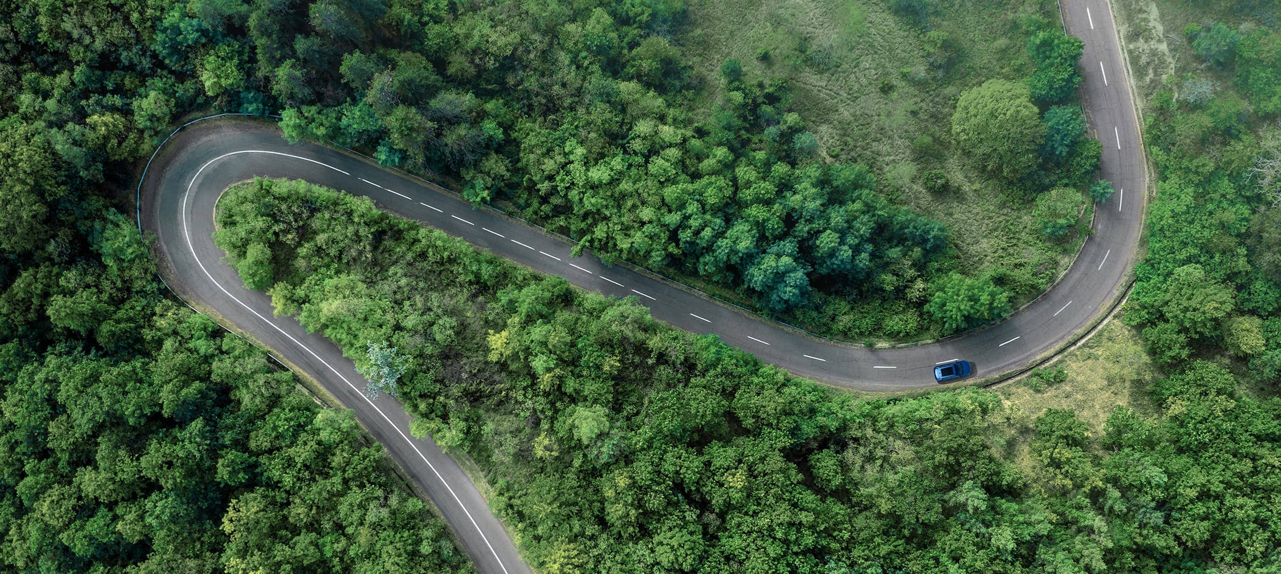 Fast: Exhilarating, Responsive and Dynamic